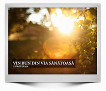 Emisiune-14-2025---Vin-bun-din-via-sanatoasa---HD-1080-25p