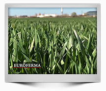 Emisiune-16-2025---Actualitati-agricole---HD-1080-25p