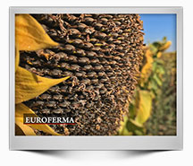 Emisiune-5-2025---Plantele-vorbesc---HD-1080-25p