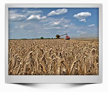 Emisiune-38-2020---Alegeri-in-agricultura---HD-1080-25p