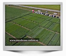 Emisiune-24-2022---Evenimente-agricole---HD-1080-25p