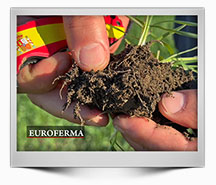 Emisiune-13-2025---Radacina-painii-de-maine---HD-1080-25p